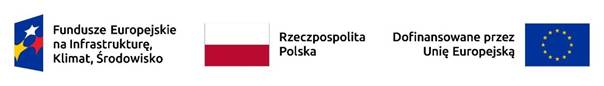 Pasek grafik związanych z funduszami europejskimi 