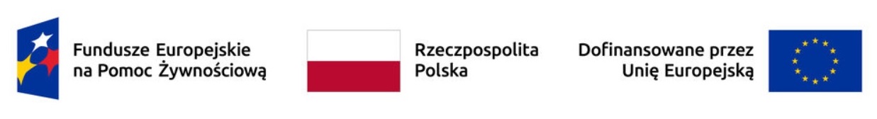 logo Funduszy Europejskich, flaga Polski, flaga Unii Europejskiej