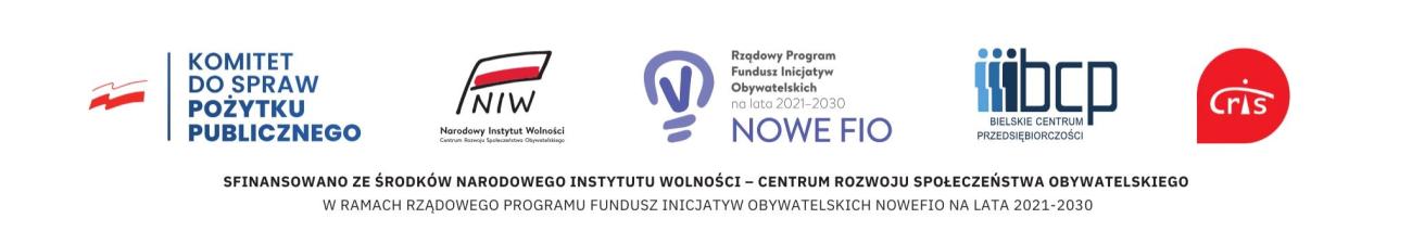 Logotyp projektu Śląskie NOWEFIO