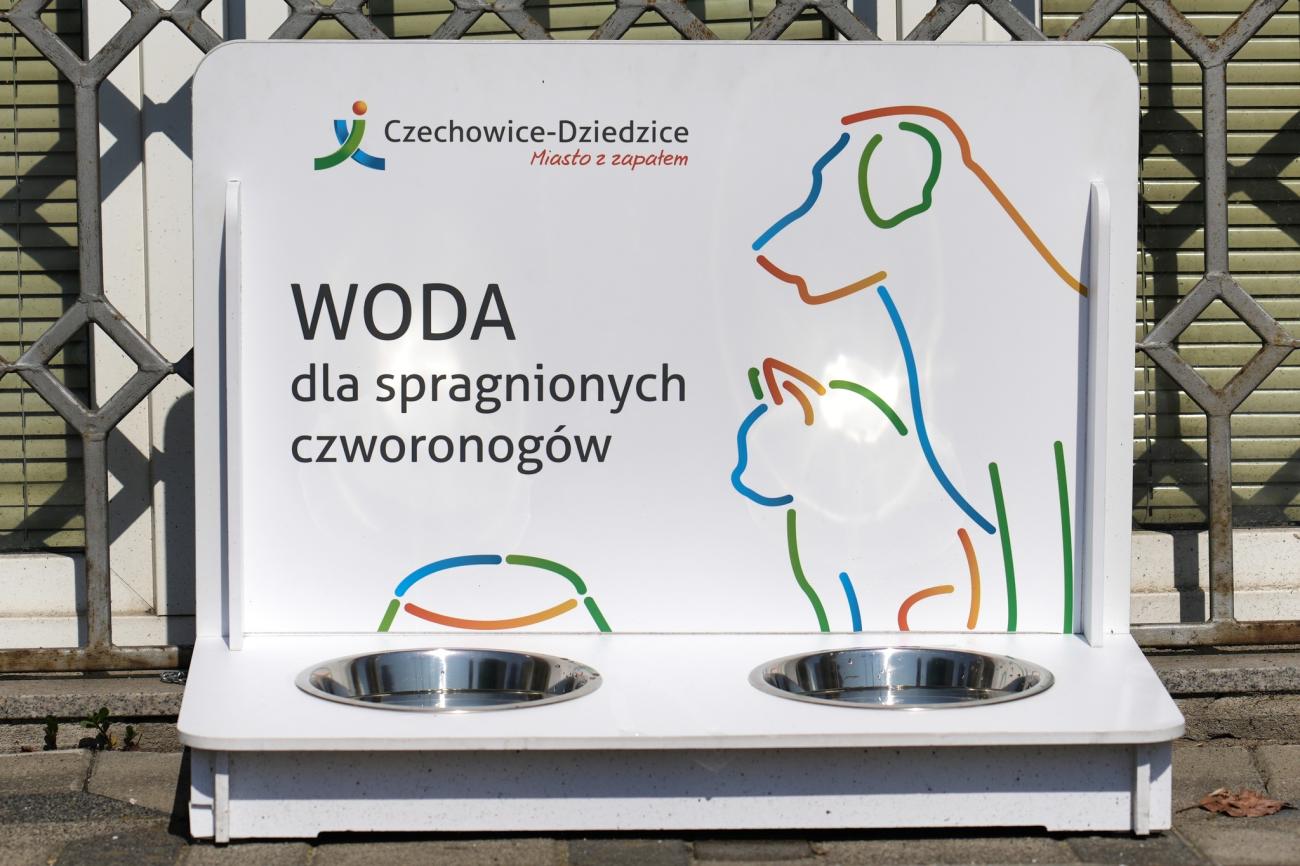 Miski z wodą przed głównym wejściem do Urzędu Miejskiego