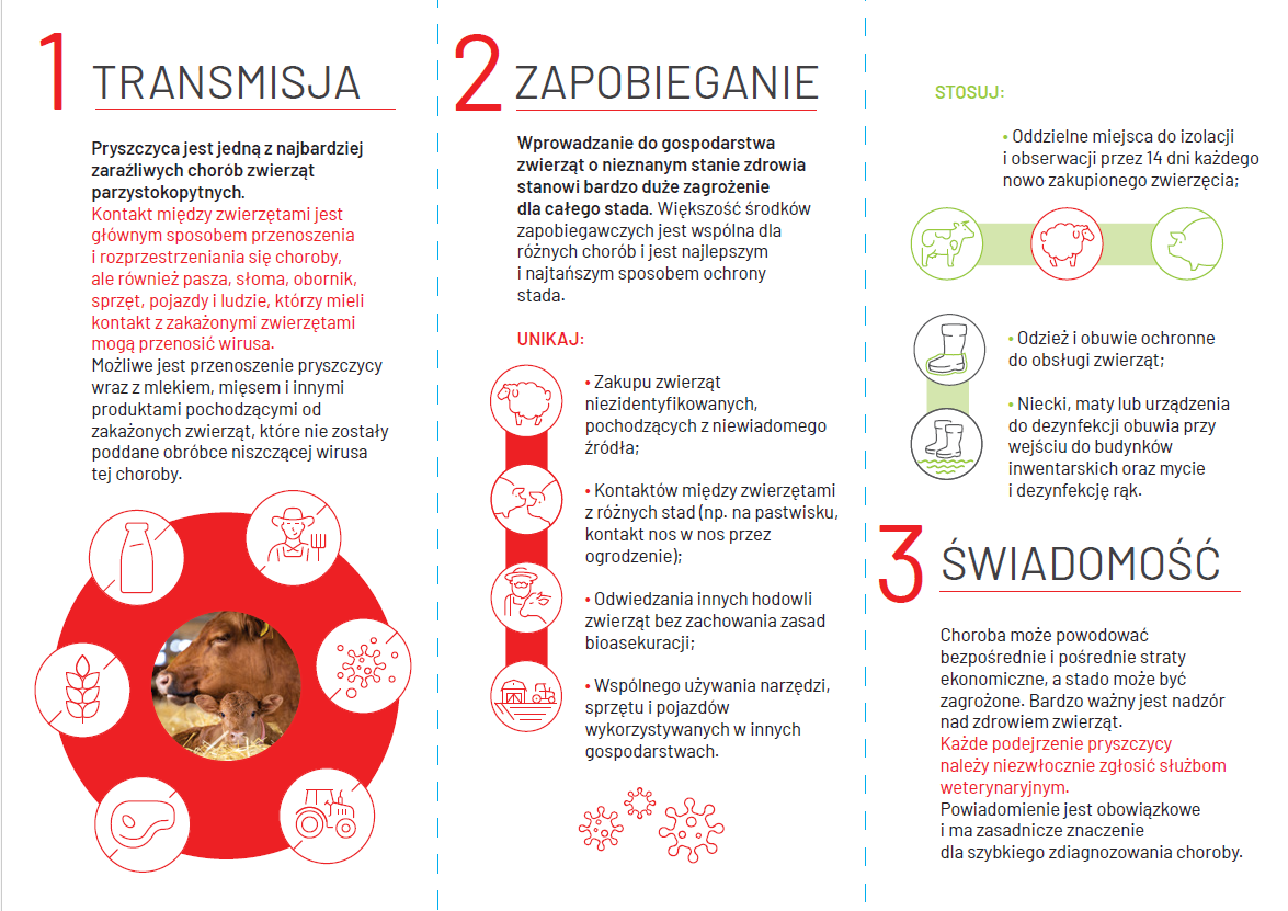 ulotka dot. pryszczycy cz. 2