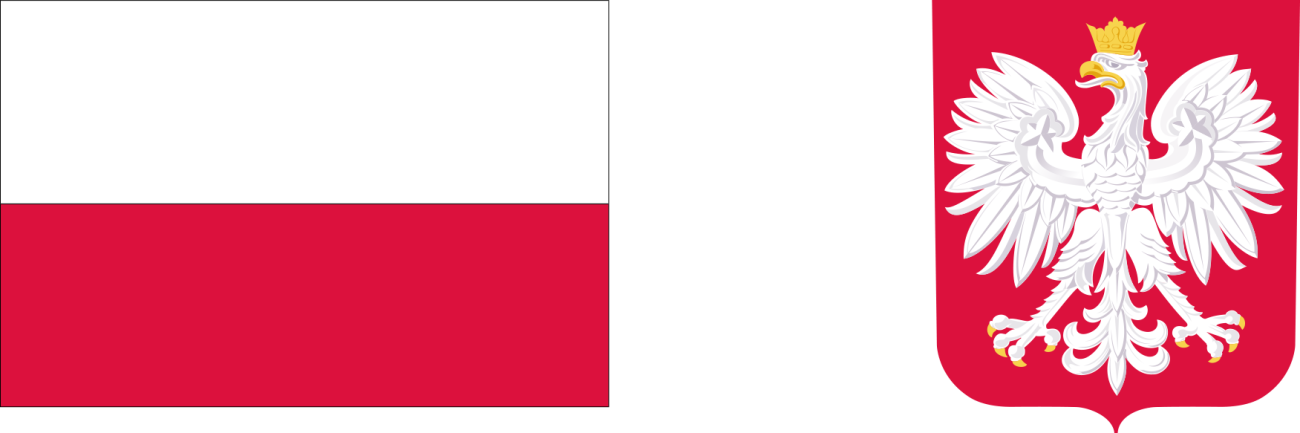 Grafika z flagą i godłem