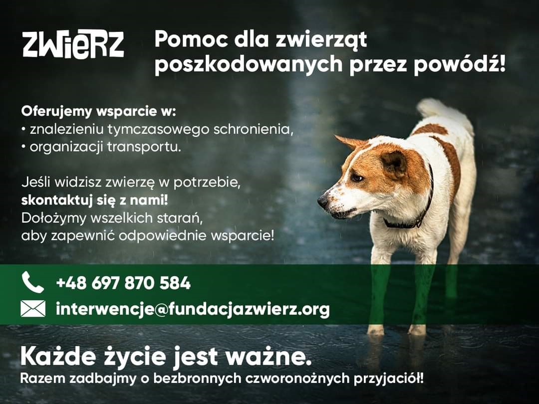 Ulotka Fundacji ZWIERZ dot. pomocy zwierzętom z terenów dotkniętych powodzią