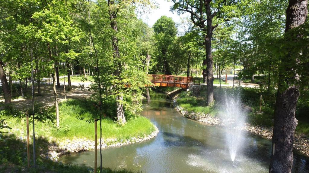 Park Szwajcarska Dolina, widok na staw, fontannę i mostek