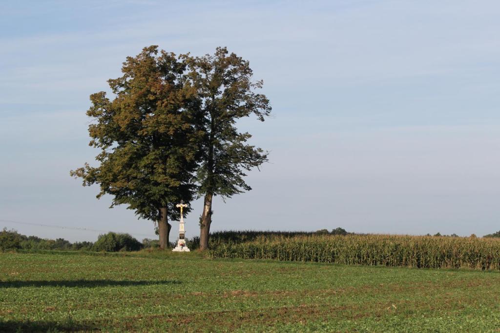 Przydrożna kapliczka w polu