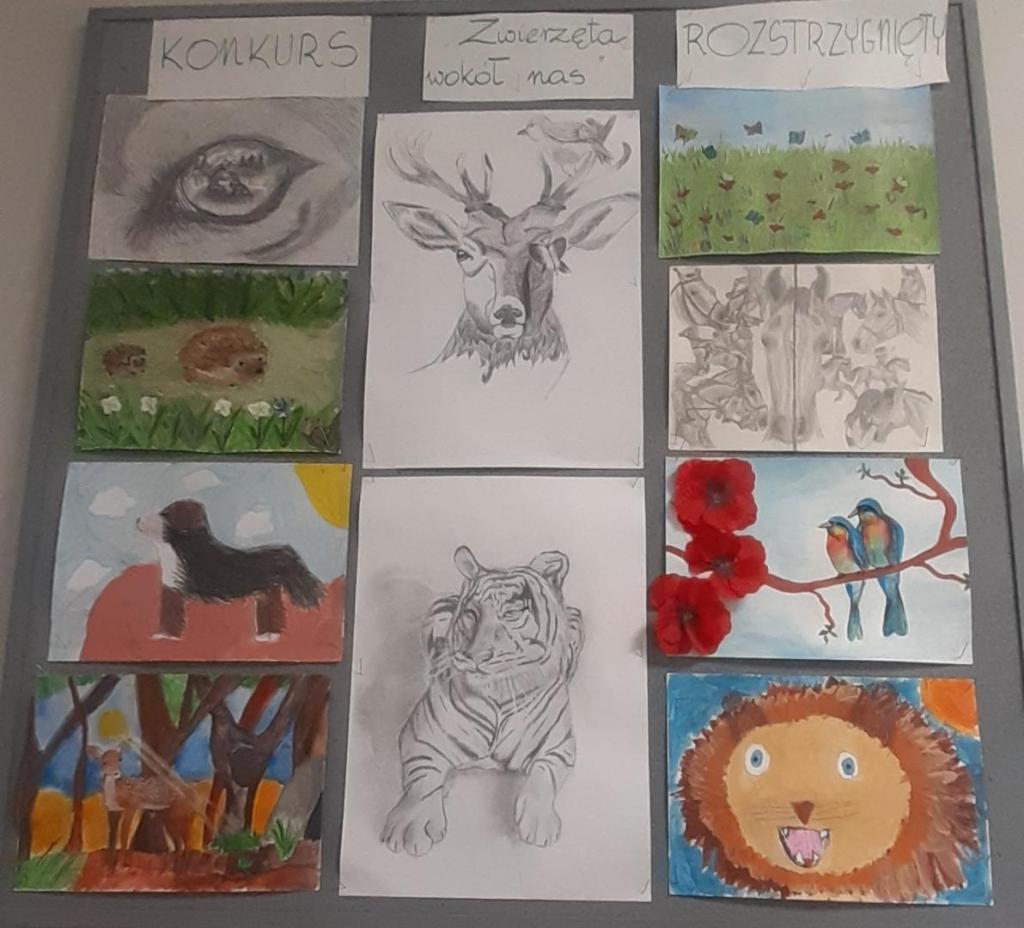 Konkurs CEiZ