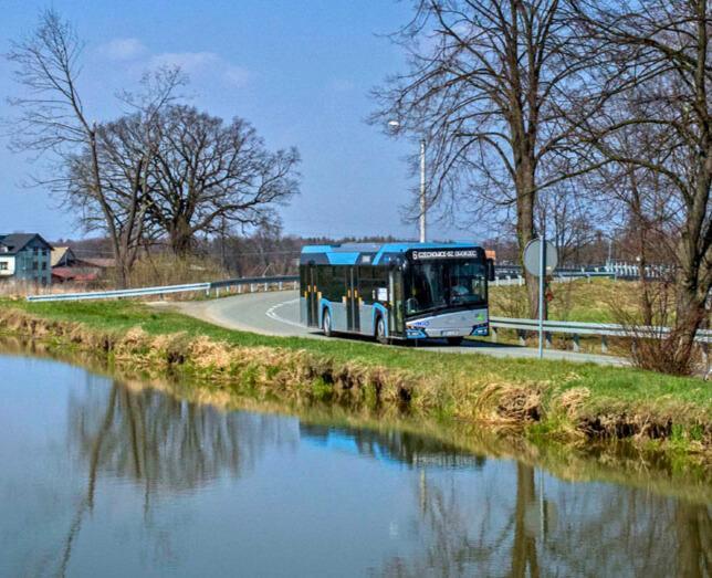 zdjęcie autobusu PKM