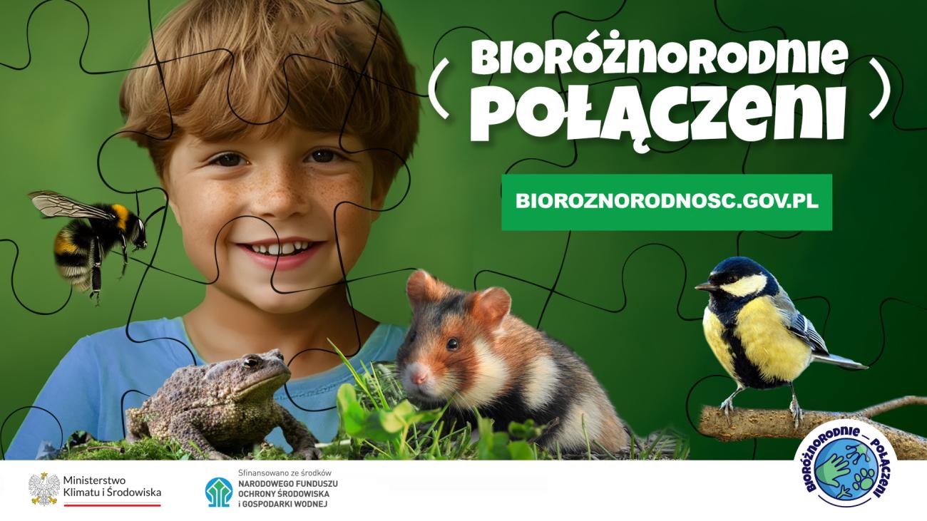 Grafika dedykowana kampanii edukacyjnej dot. bioróżnorodności 