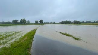 powódź w Ligocie 