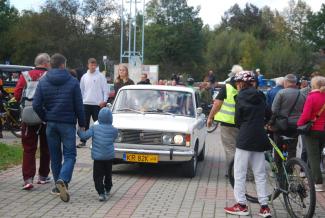 Samochody w ramach zlotu pojazdów zabytkowych