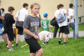 hobby horse