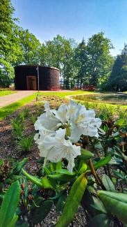 Widok na Park Miejski Lasek po rewitalizacji
