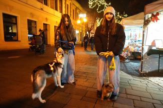 Jarmark Świąteczny w Czechowicach-Dziedzicach