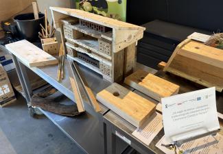 Zajęcia warsztatowe w CEiZ 