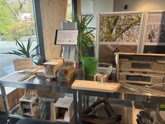 Zajęcia warsztatowe w CEiZ 