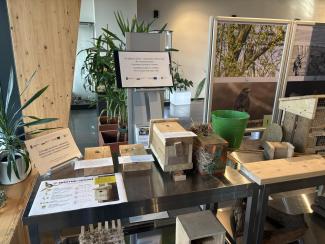 Zajęcia warsztatowe w CEiZ 