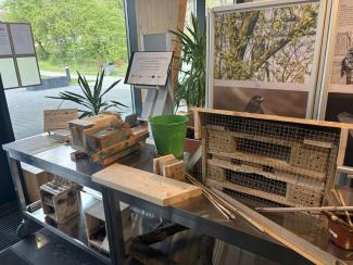 Zajęcia warsztatowe w CEiZ 