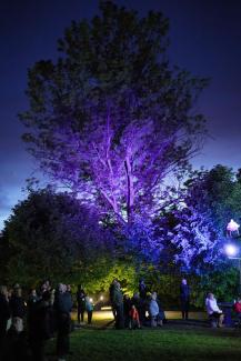 IX Czechowicka Noc Kultury