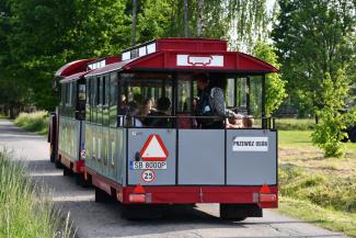 Filmowy Piknik Rodzinny SP nr 1 w Ligocie