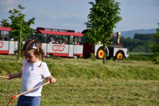 Filmowy Piknik Rodzinny SP nr 1 w Ligocie