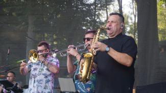 Piknik Zabrzeski