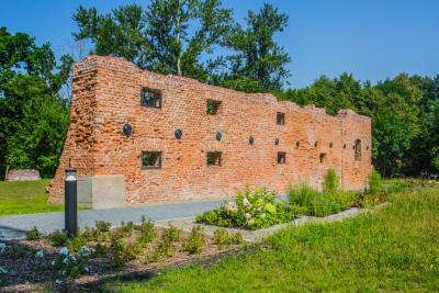 Ruiny zamku Wilczków