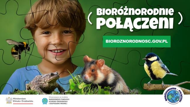 Grafika dedykowana kampanii edukacyjnej dot. bioróżnorodności 
