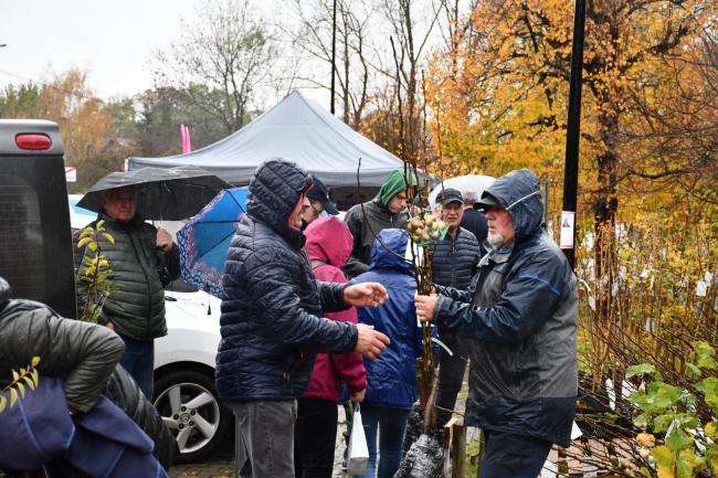 Oglądanie sadzonek przez mieszkańców