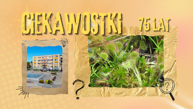 Ciekawostki - grafika